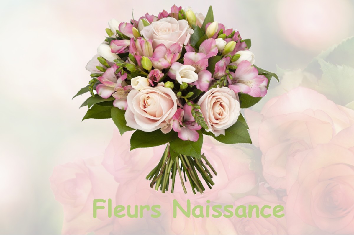 fleurs naissance ORGEANS-BLANCHEFONTAINE