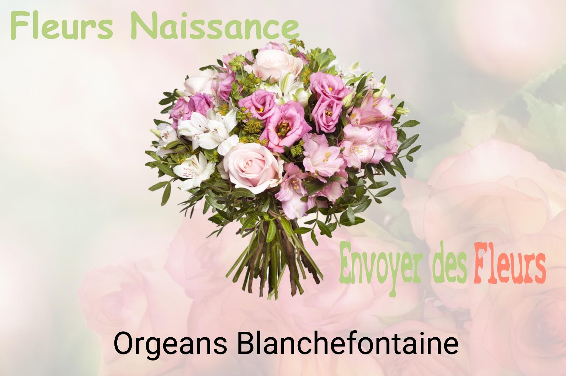 Bouquet de fleurs de naissance livré à Orgeans-Blanchefontaine
