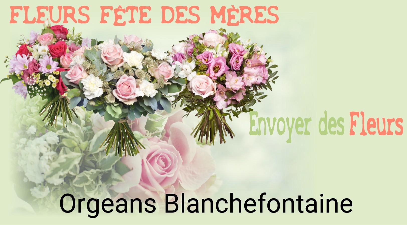 Bouquet de Fête des Mères livré à Orgeans-Blanchefontaine